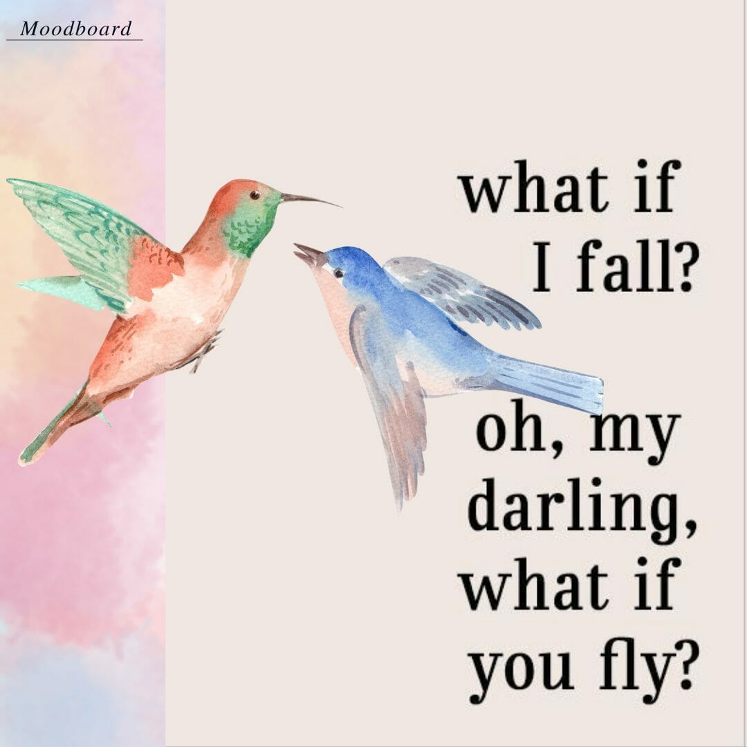 What if you Fly